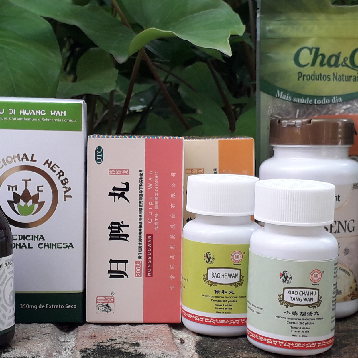 Fitos Home_Prancheta 1